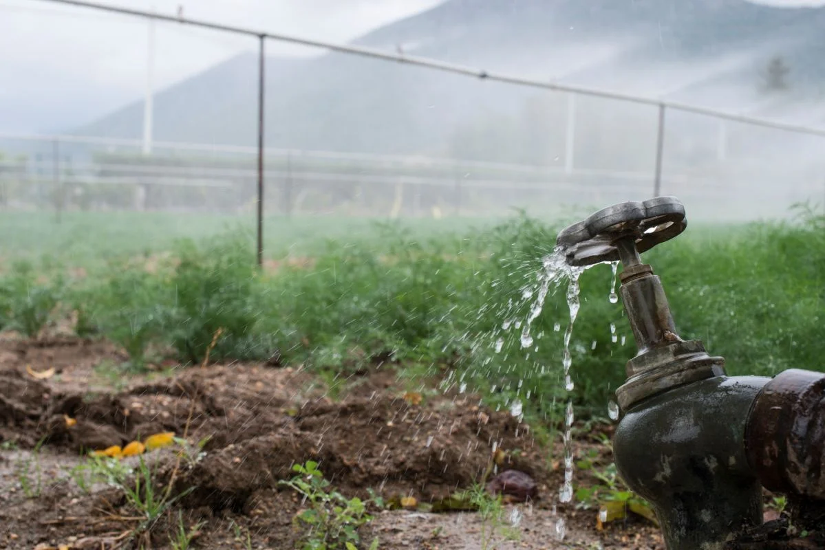 How to Install and Maintain an Efficient Irrigation System